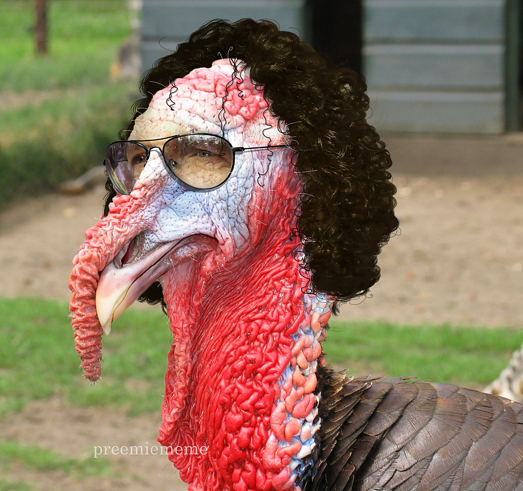 Turkiss fun. Thanksgiving turkey. фатих карагюмрюк коньяспор очные встречи. Turkiss fun. Thanksgiving day.