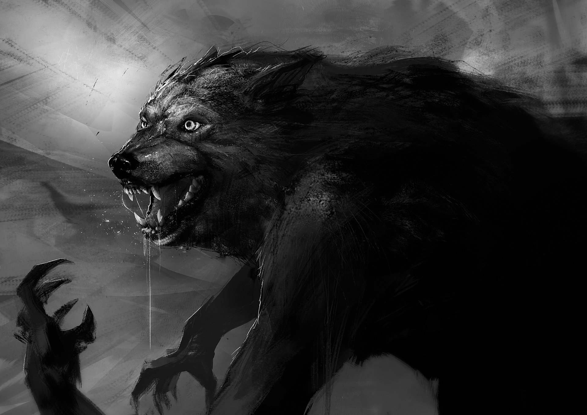 ArtStation - Werewolf Sketch