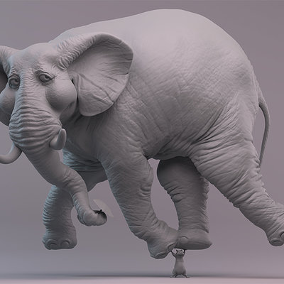 Rudy massar the amazingly light weighted elephant clay