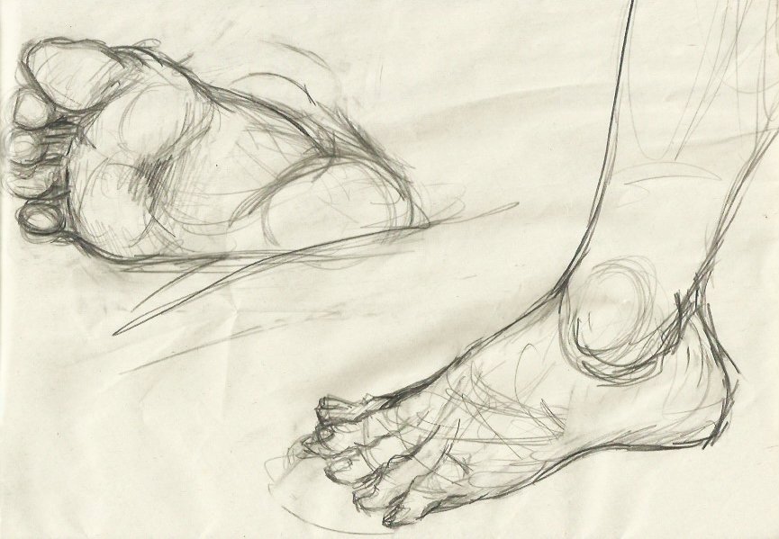 Human foot bones anatomy vector sketch  Stock Illustration 68770889   PIXTA