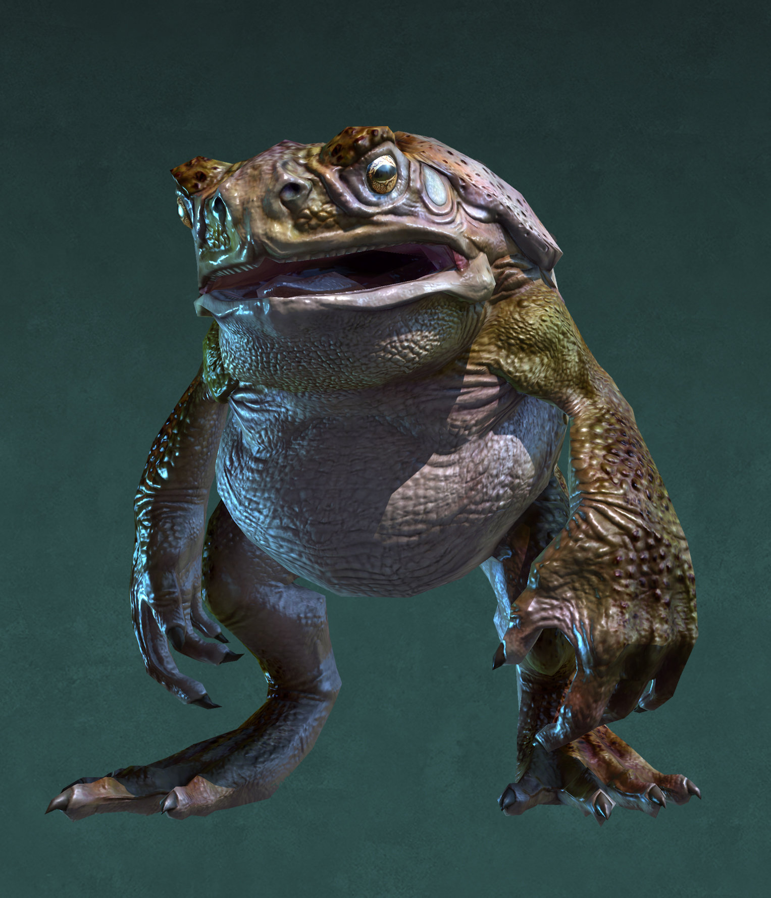 Toad body type for the Hylek frog race. ~