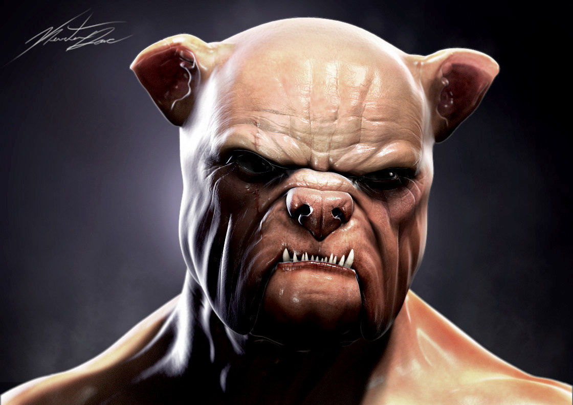 Bulldog Boxer