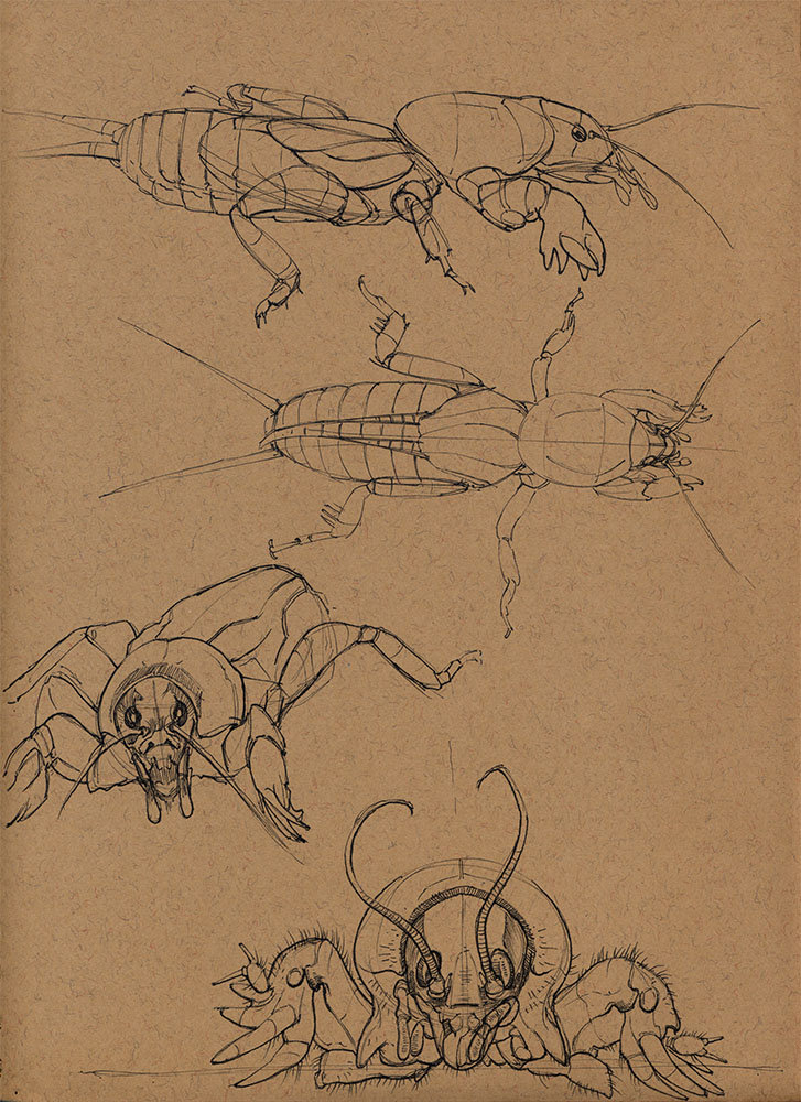 Artstation Insects Floris Van Der Peet