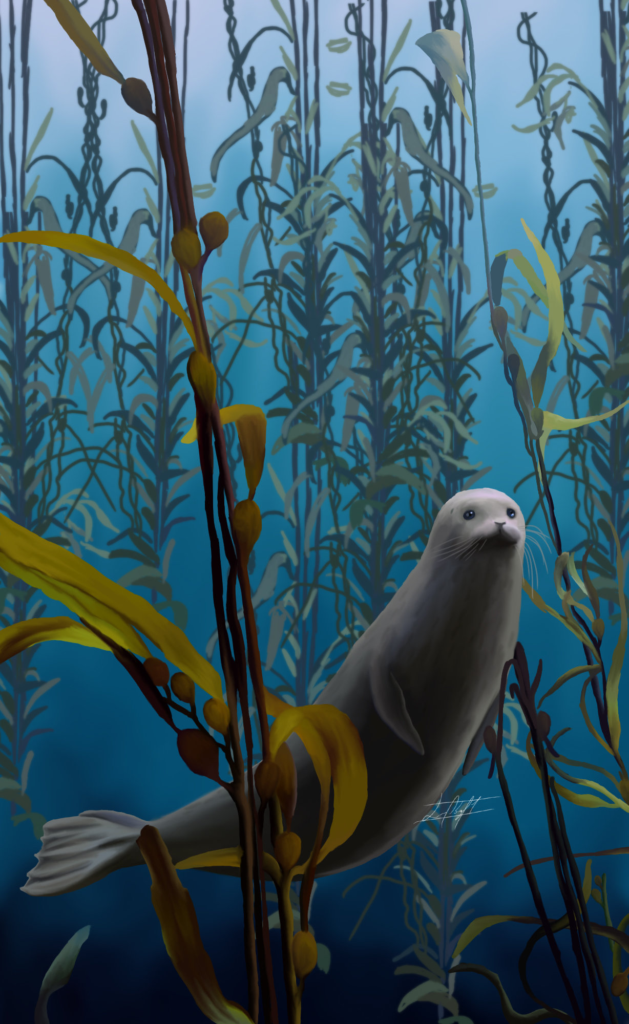 ArtStation Foca en el bosque Marino