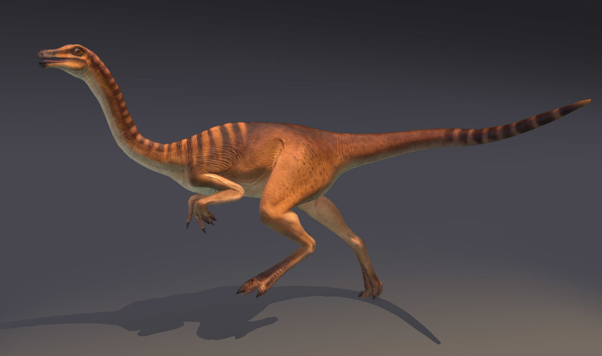 gallimimus