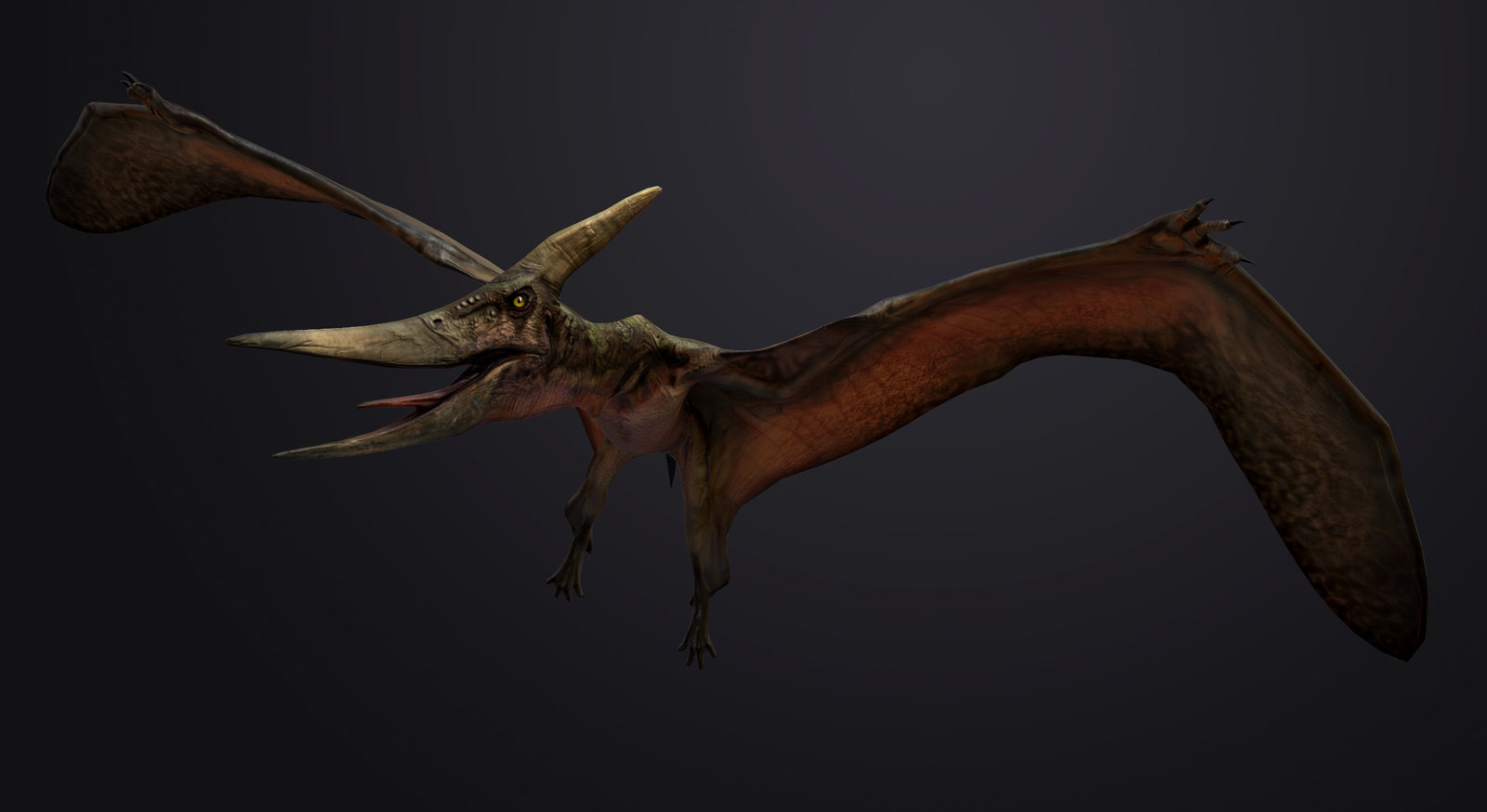 le pteranodon