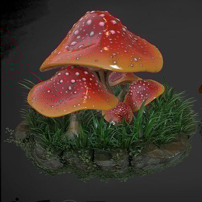 Daniel hull mushroom rock