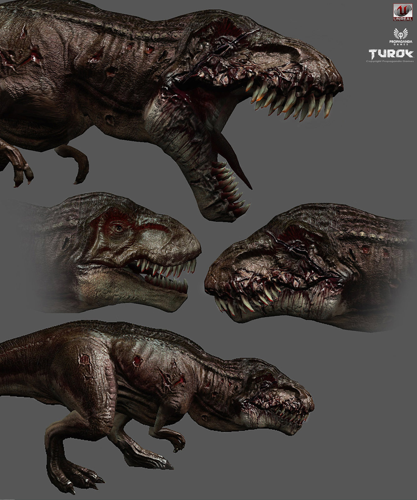 Turok 
