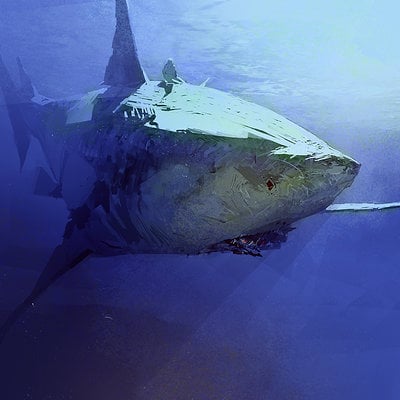 Sergey kolesov shark