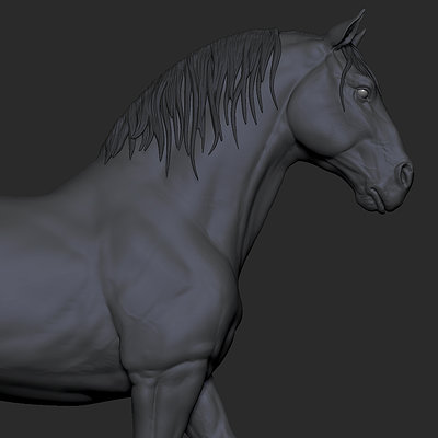 Horse study 2015