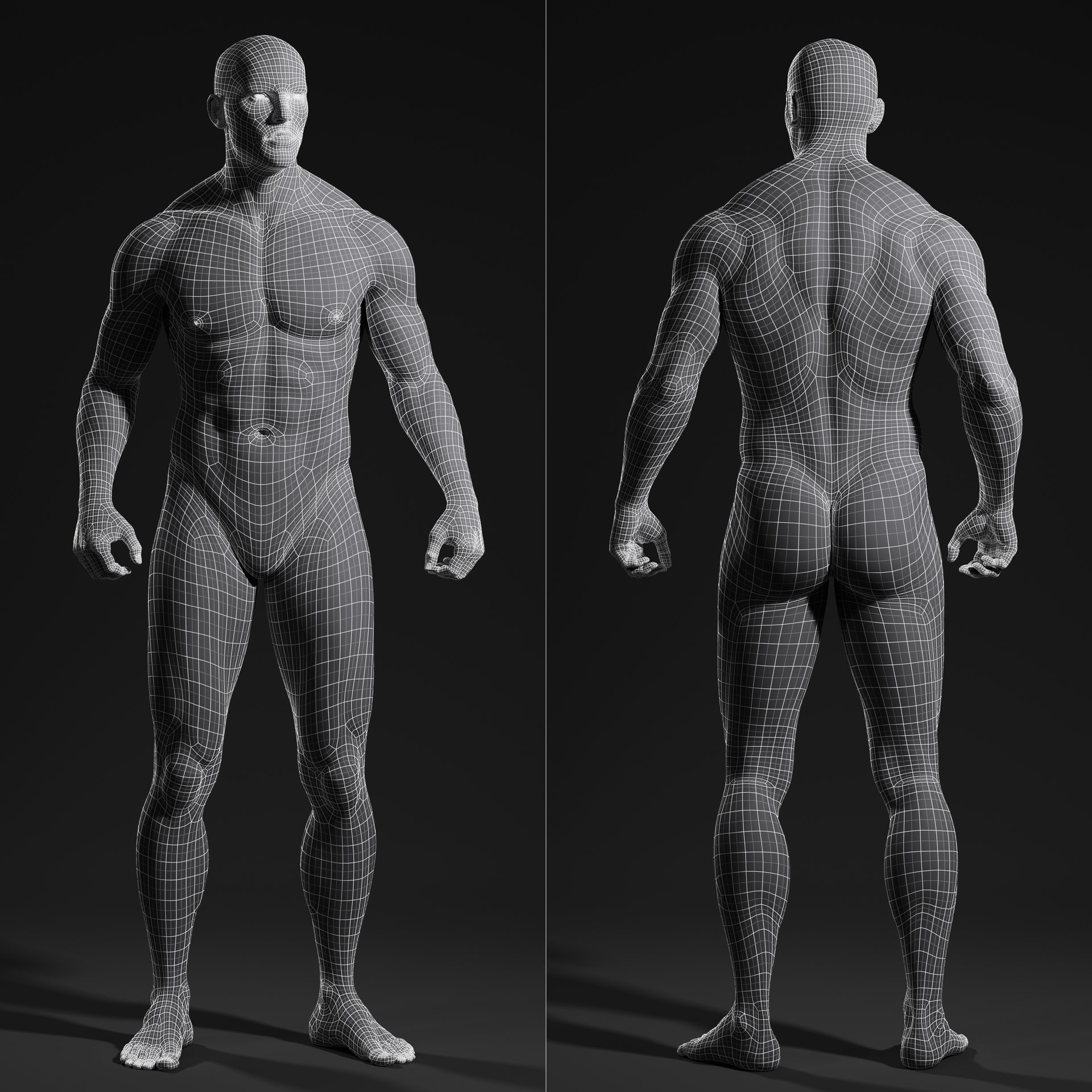 ArtStation - R15 Realistic Male Body