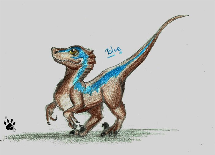 Artstation - [traditionnal] Blue Of Jurassic World