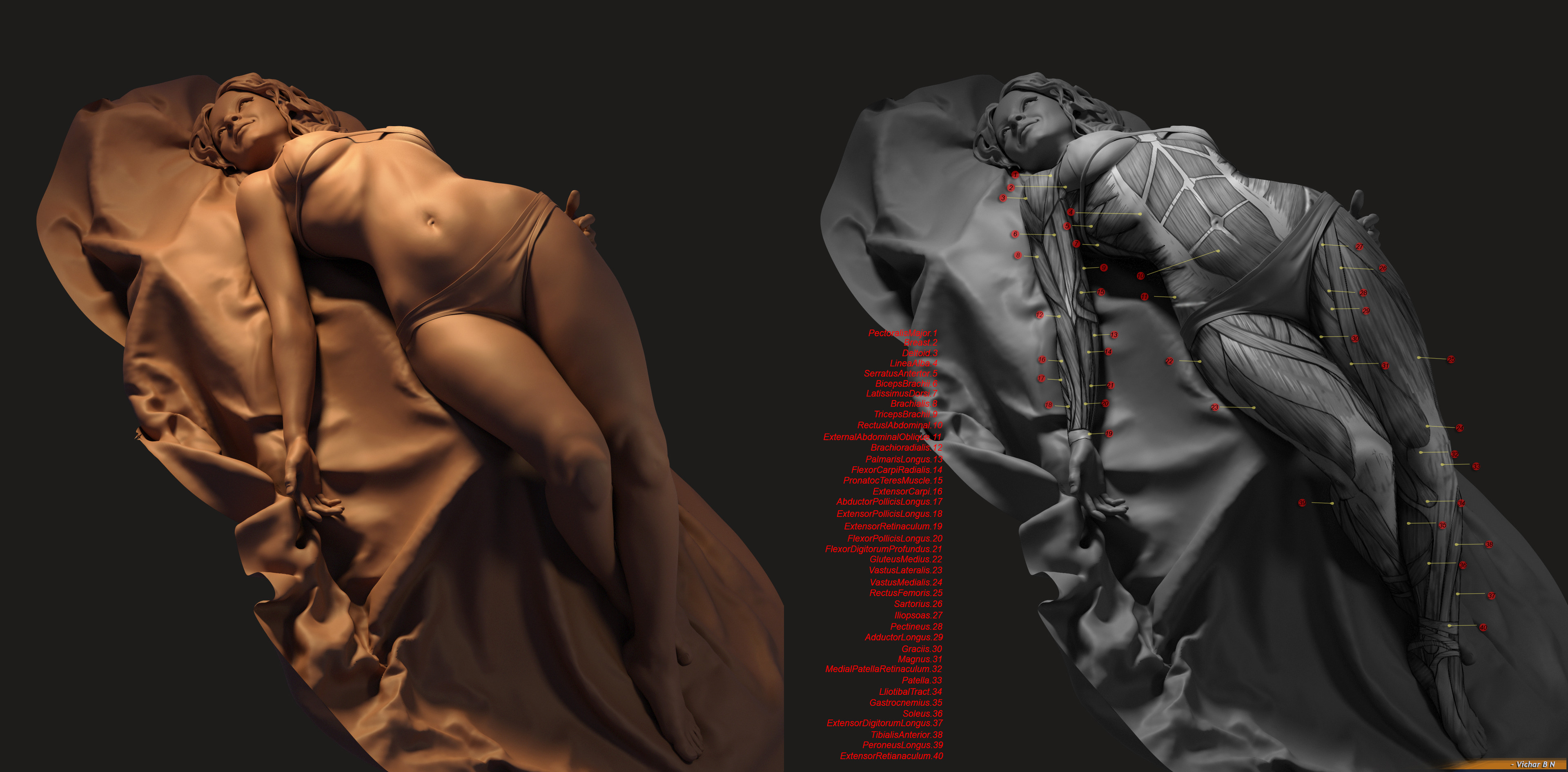 Artstation Character Anatomy For 3d Artists Vichar Vichar