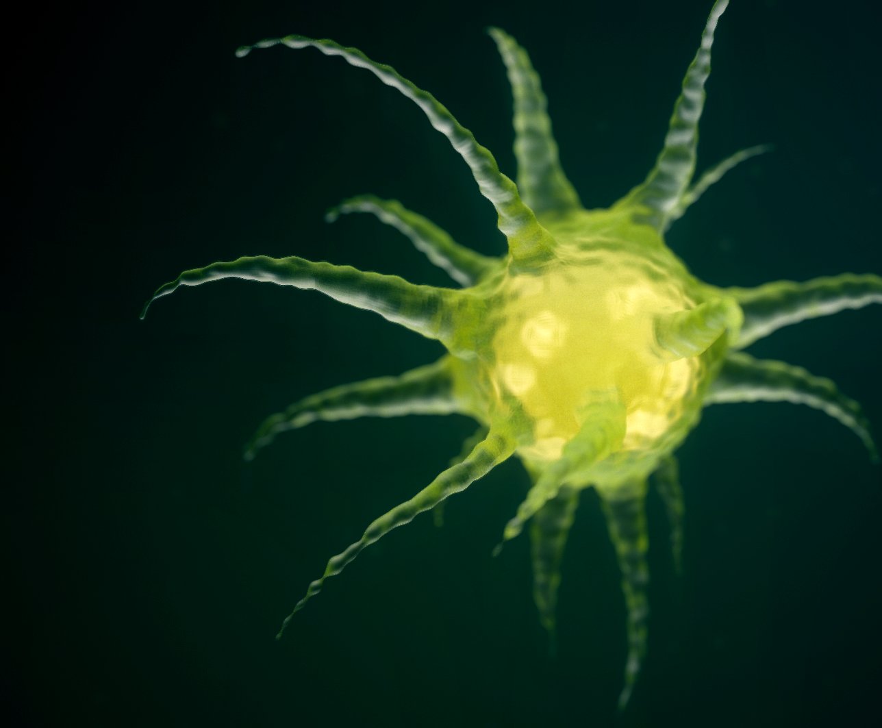 Virus 02