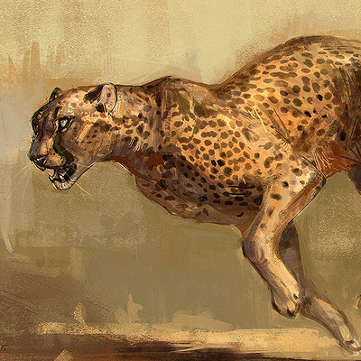 Jonathan kuo cheetah7