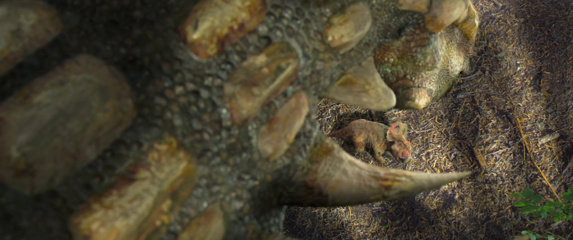 Jens Kafitz - Walking with Dinosaurs - Texturing & Lookdev