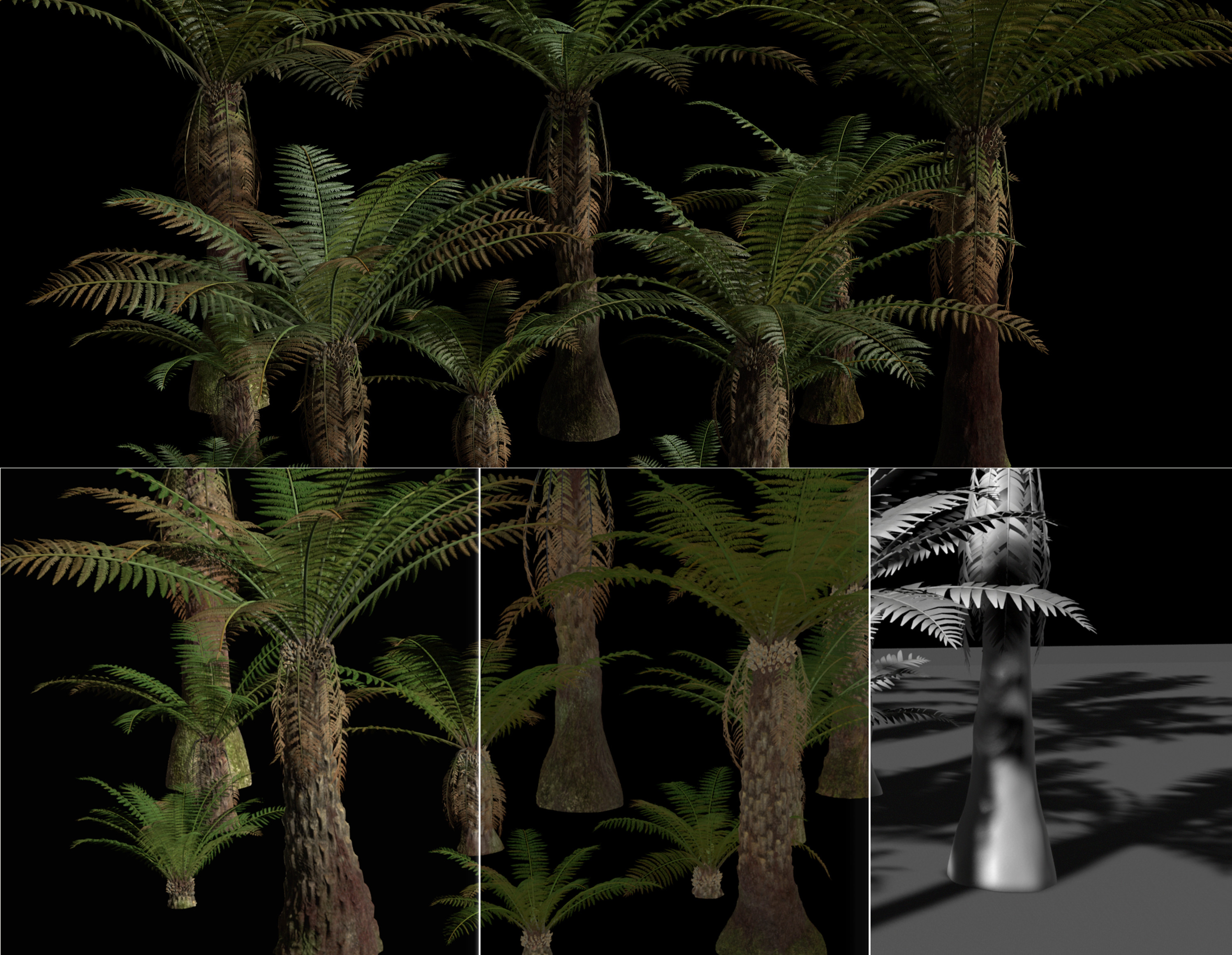 Texturing &amp; Lookdev of some Fern Trees