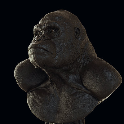 Gorilla study fast Keyshot renders