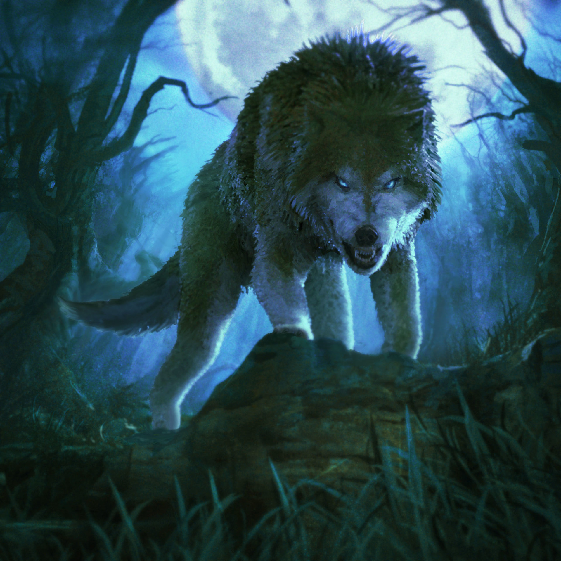 ArtStation - Angry Wolf, ooki Draws