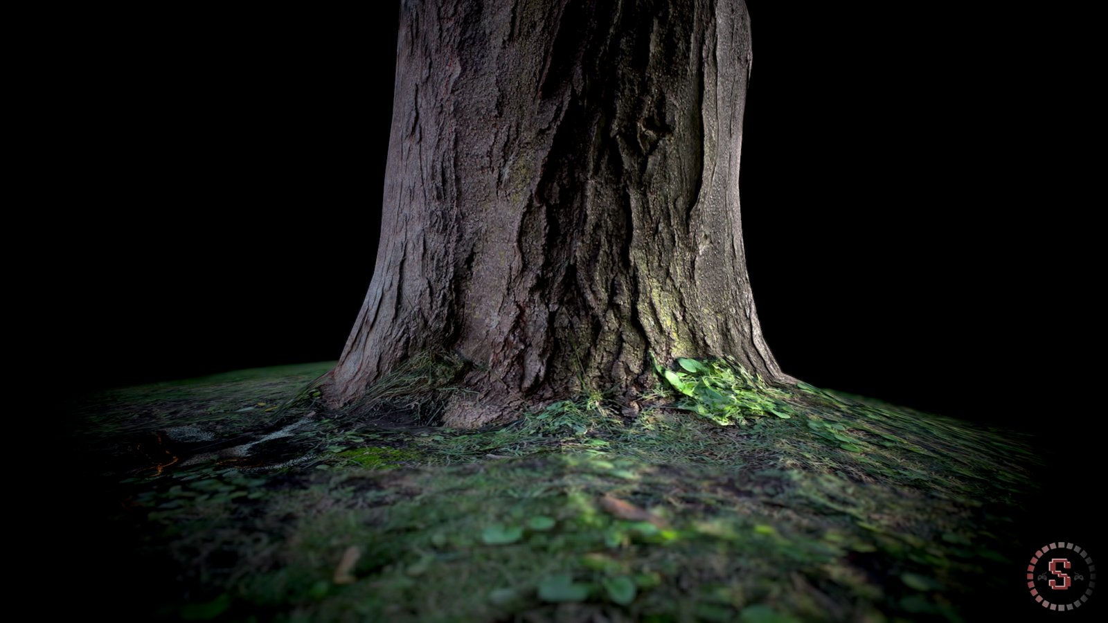 Tree Bottom 3D Scan 