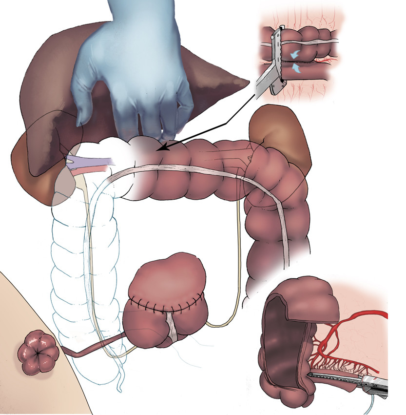 ArtStation Indiana Pouch