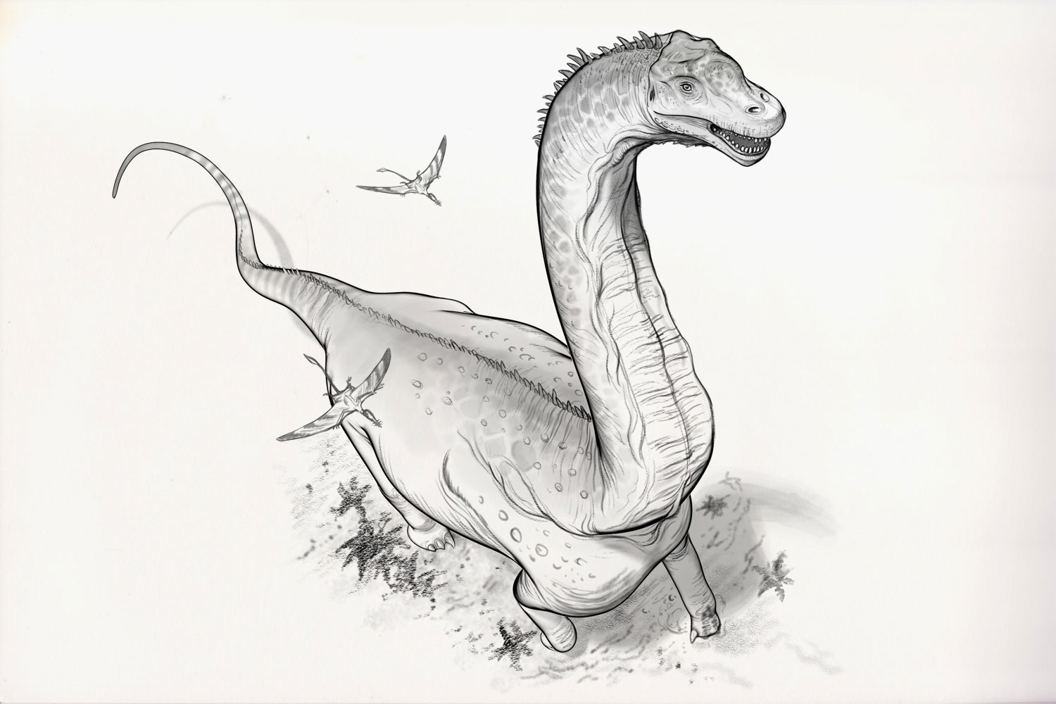 ArtStation - Draw Dinovember Day 2 Brachiosaurus