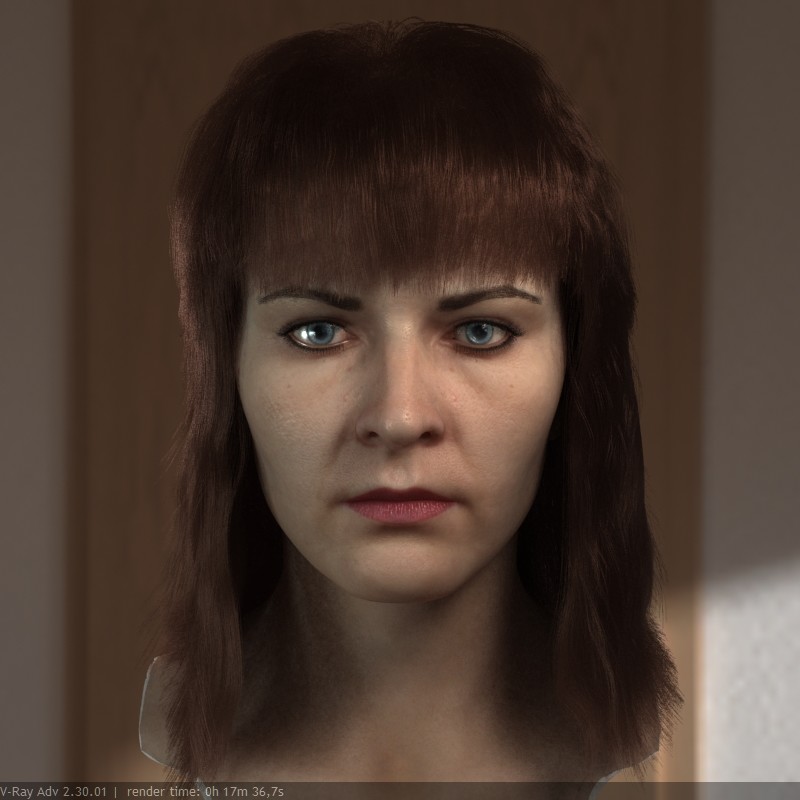 Artstation The 3d Model Realistic Female Head Stephan Plotnicov
