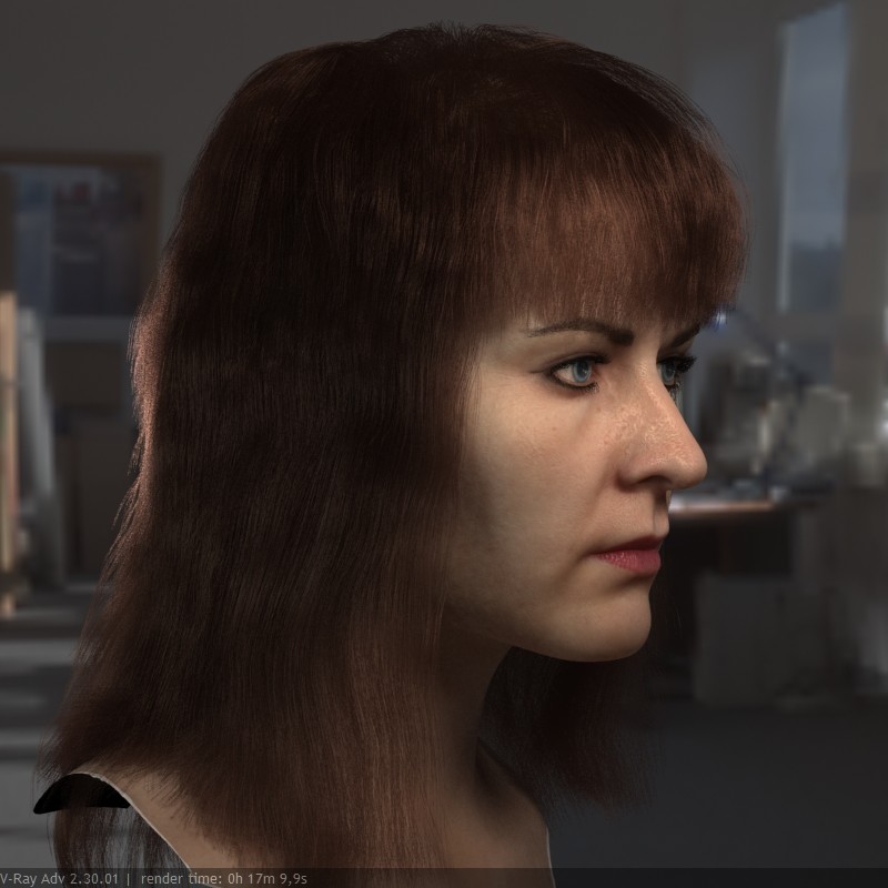 Artstation The 3d Model Realistic Female Head Stephan Plotnicov