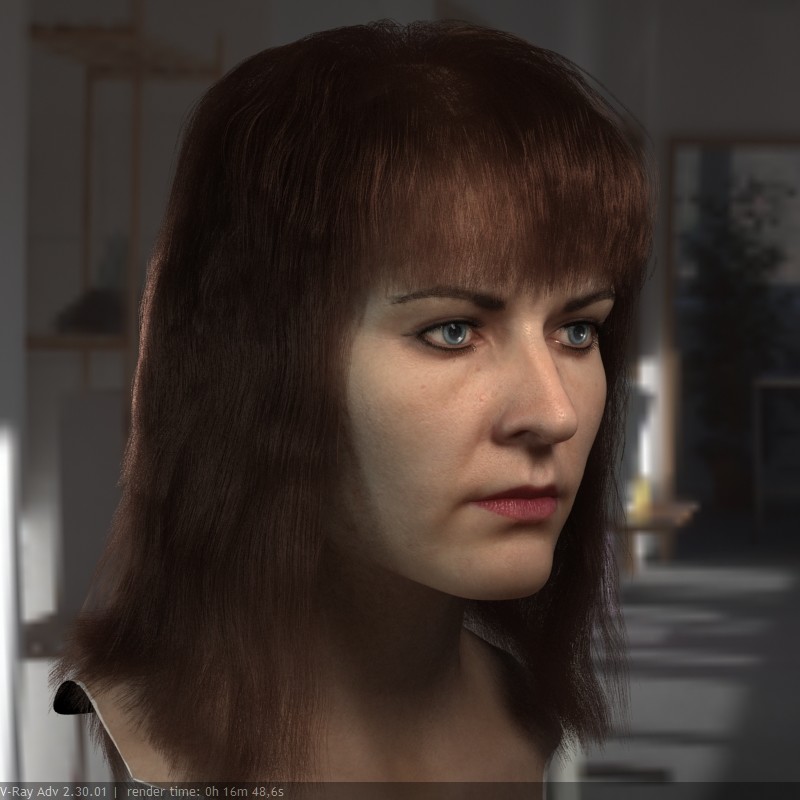 Artstation The 3d Model Realistic Female Head Stephan