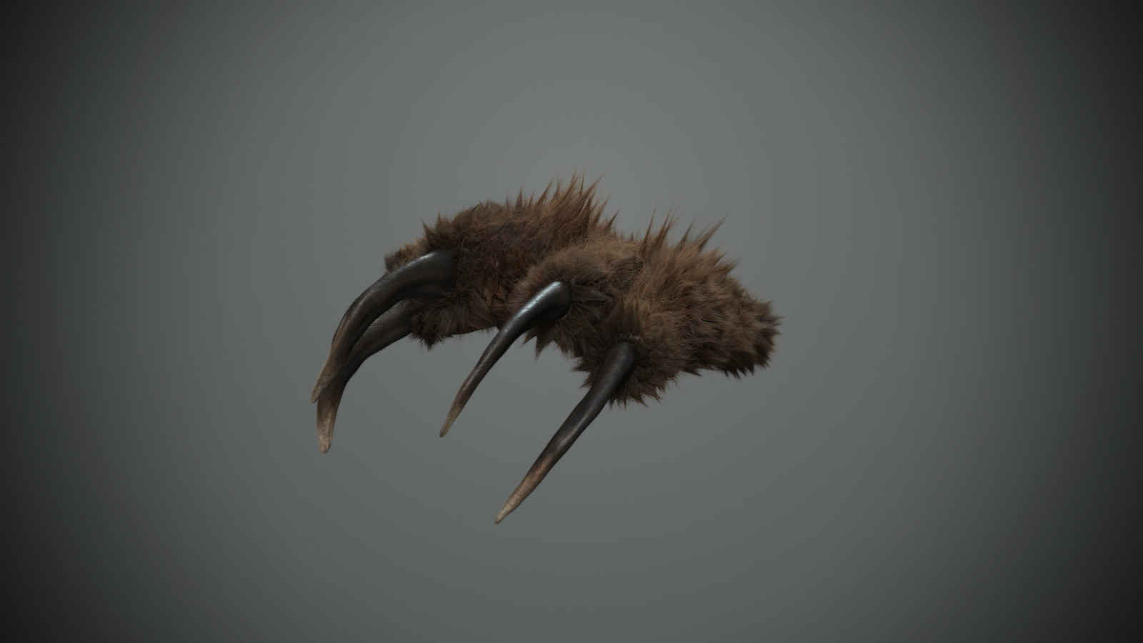 Bear foot