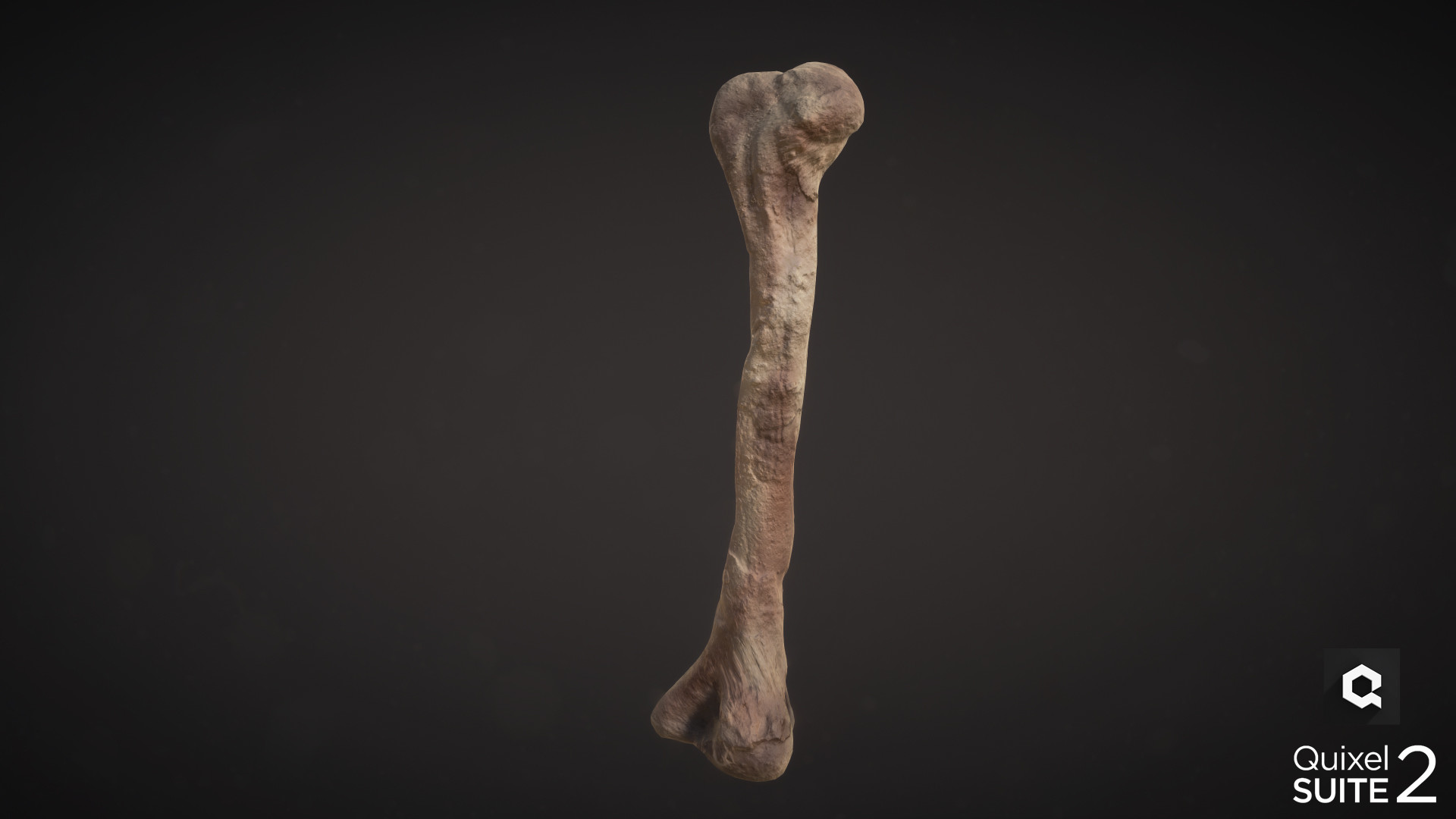 Elder bone