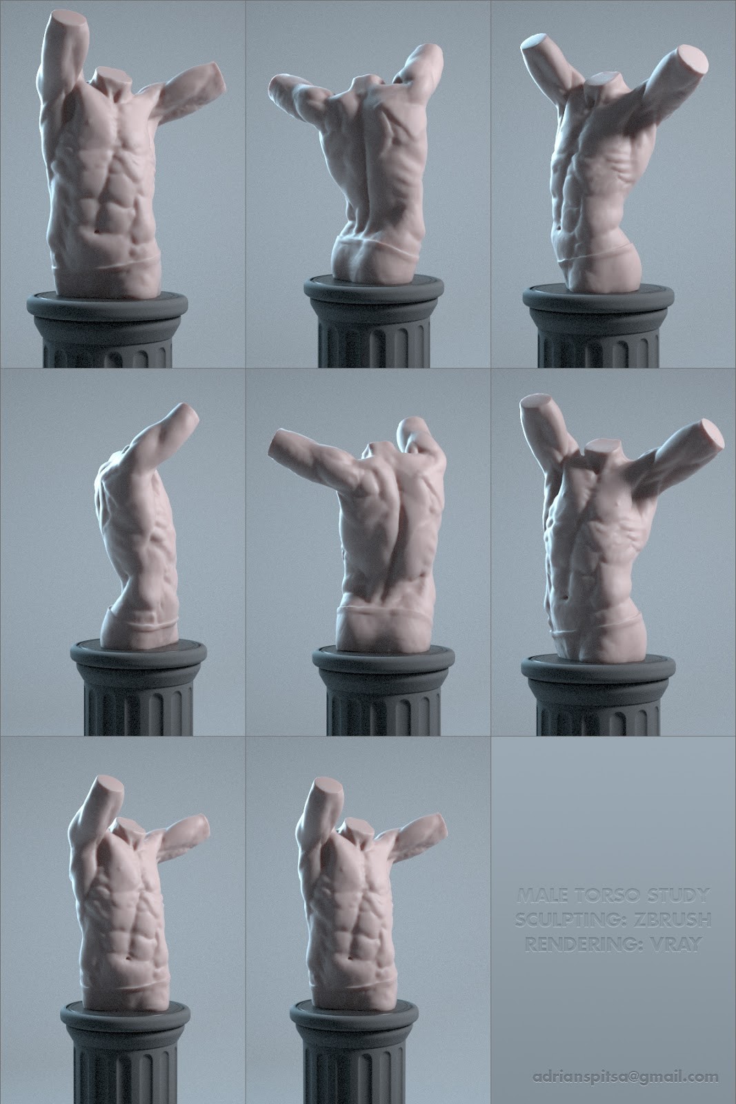 Male Torso Study