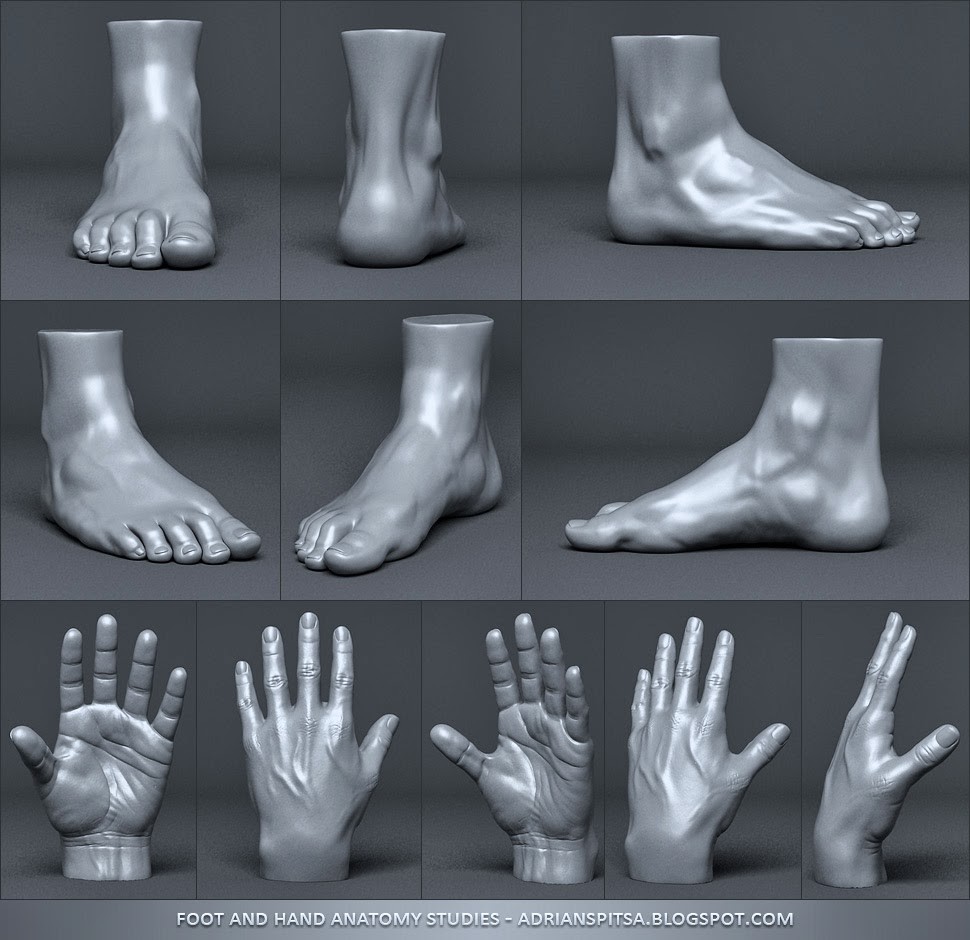 Hand &amp; Foot Study