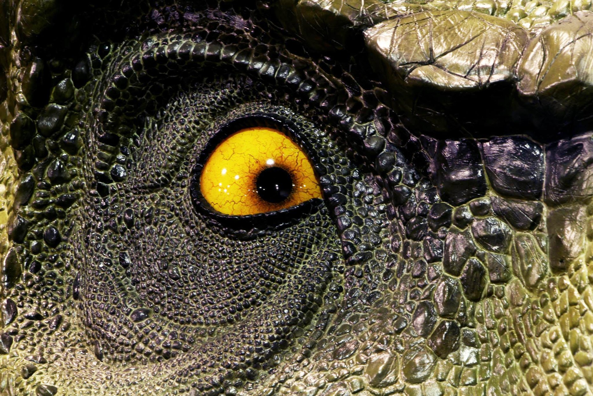 life size t rex head