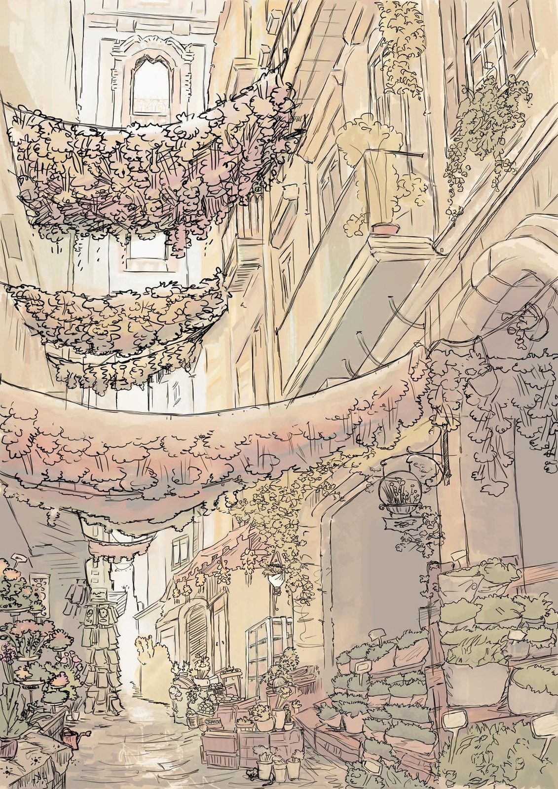 Outlines