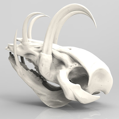 Priscilla firstenberg skull01