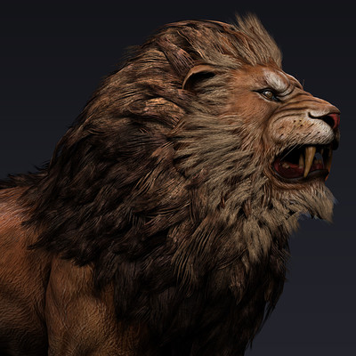LION_2013