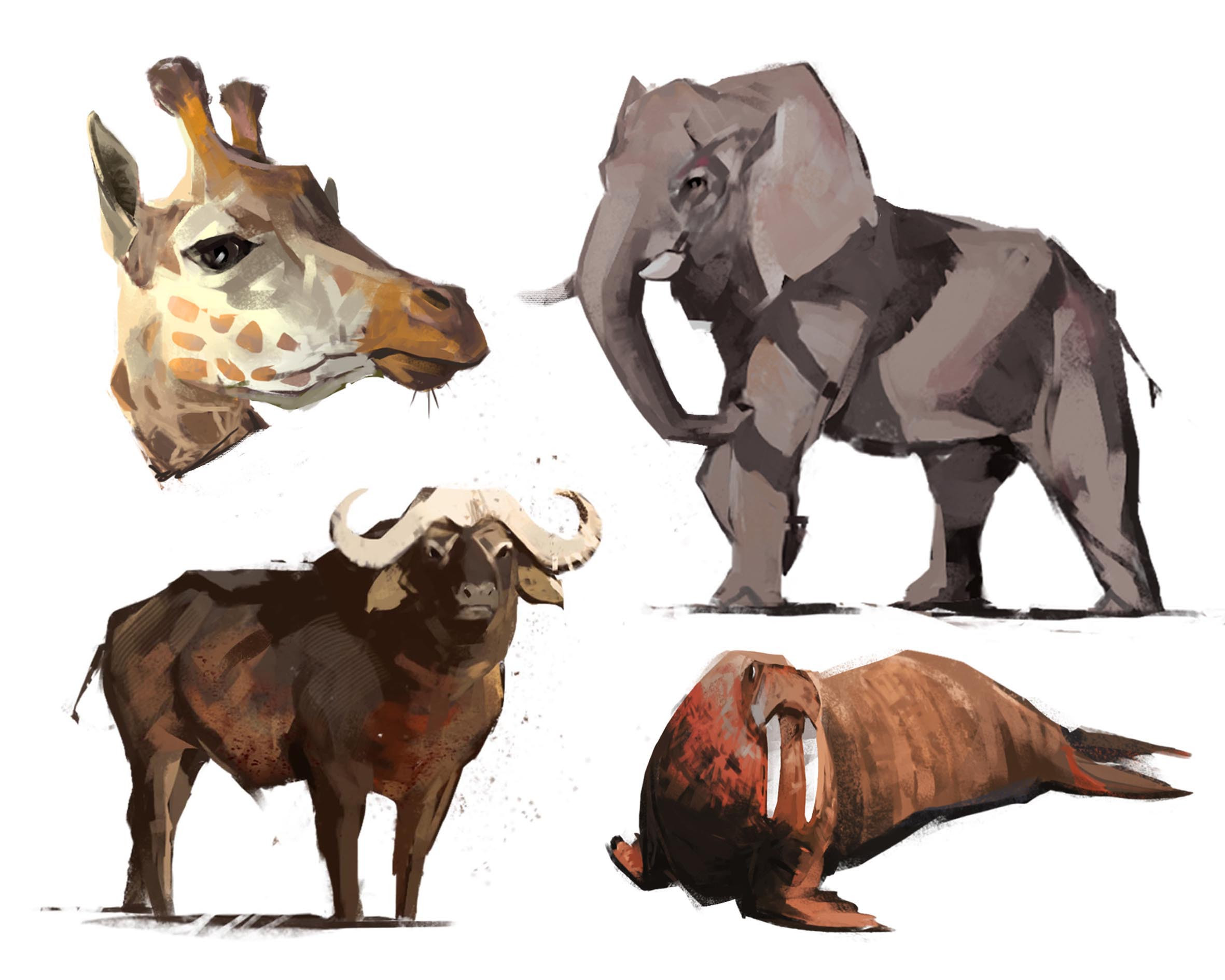 Animal project. ARTSTATION животные. Animal studies.
