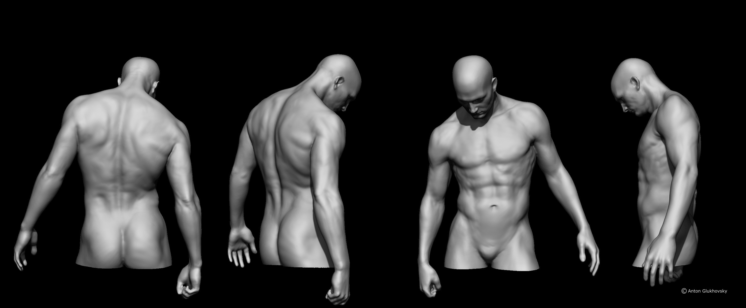 male torso, holding a weight