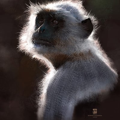 Psdelux 20160131 monkey psdelux