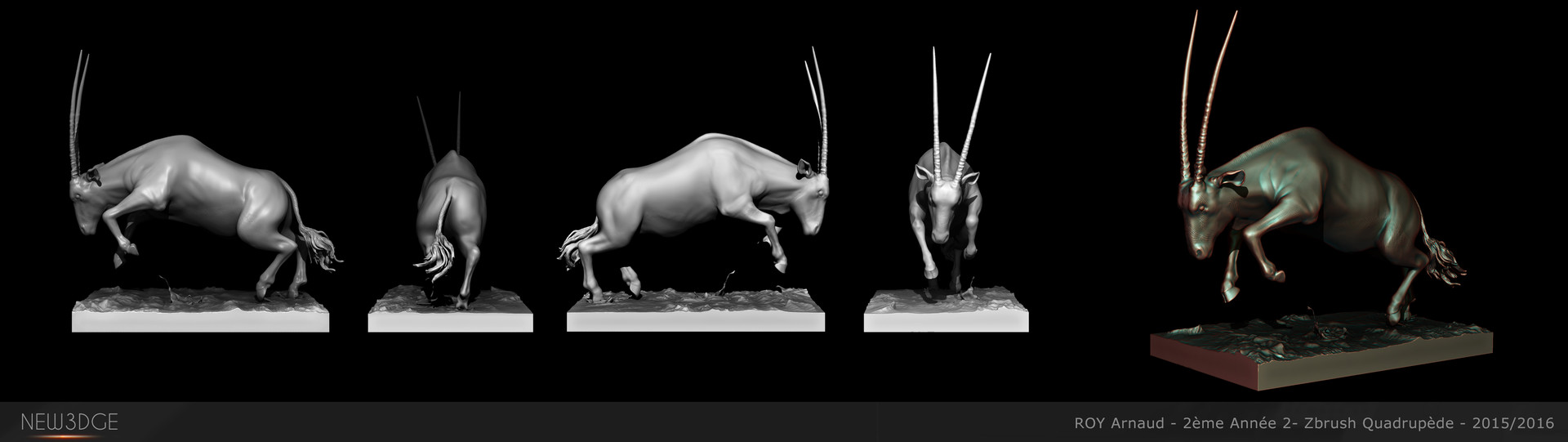 ArtStation Zbrush animal studies