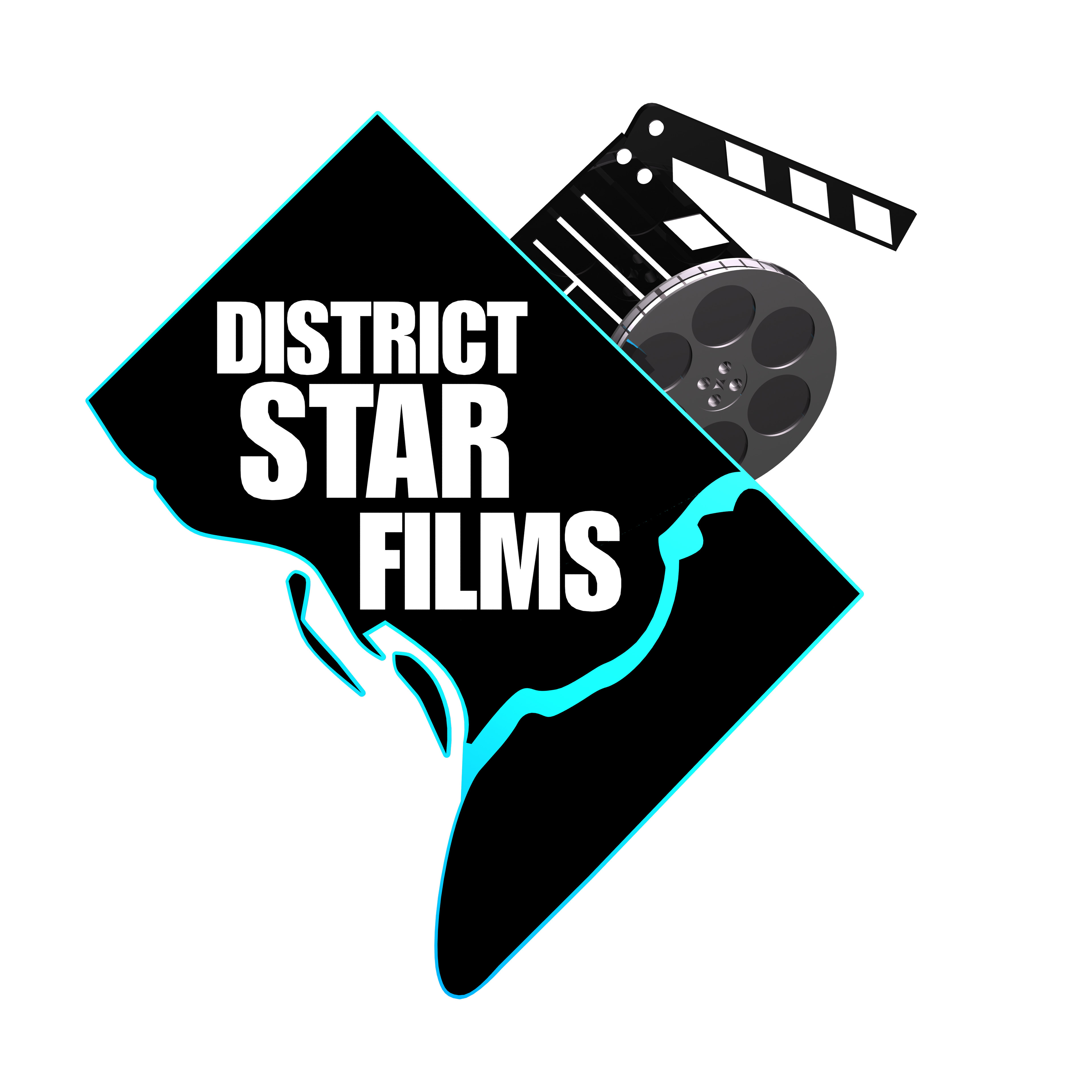DSF - Logo - Polygonal