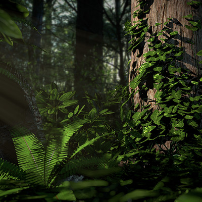 Jordan waka forest floor