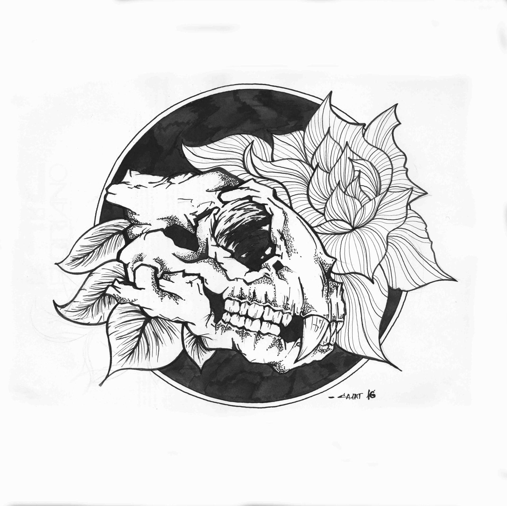 Lion skull and baroque for tattoo design Vector Image