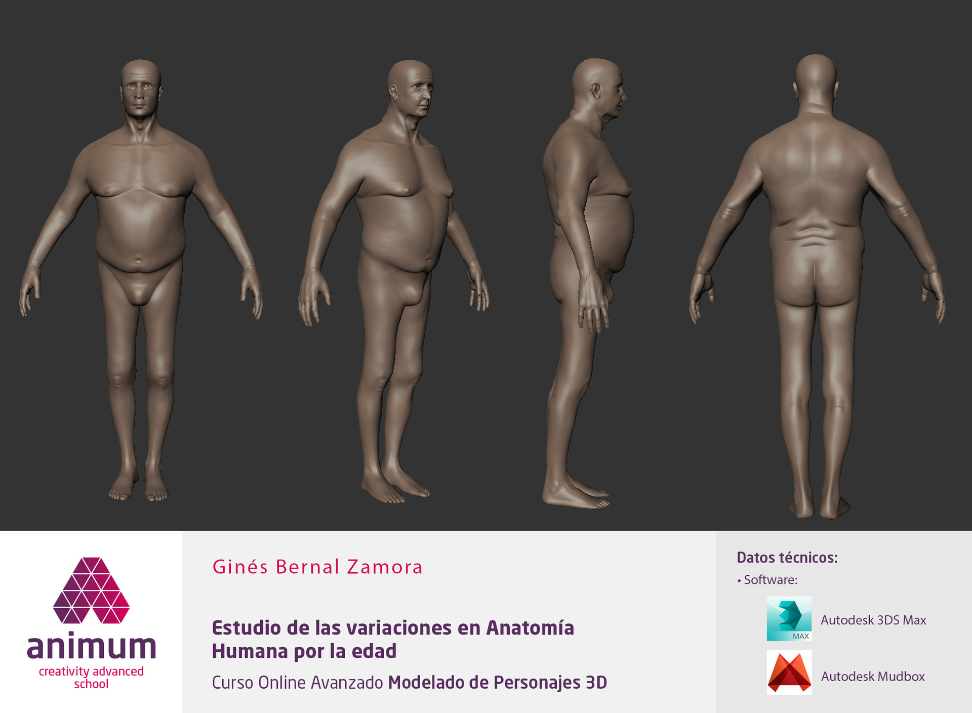 Gines Study Of Human Anatomy