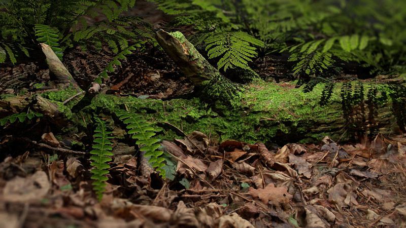 Jle Studios Iu Asset Studios