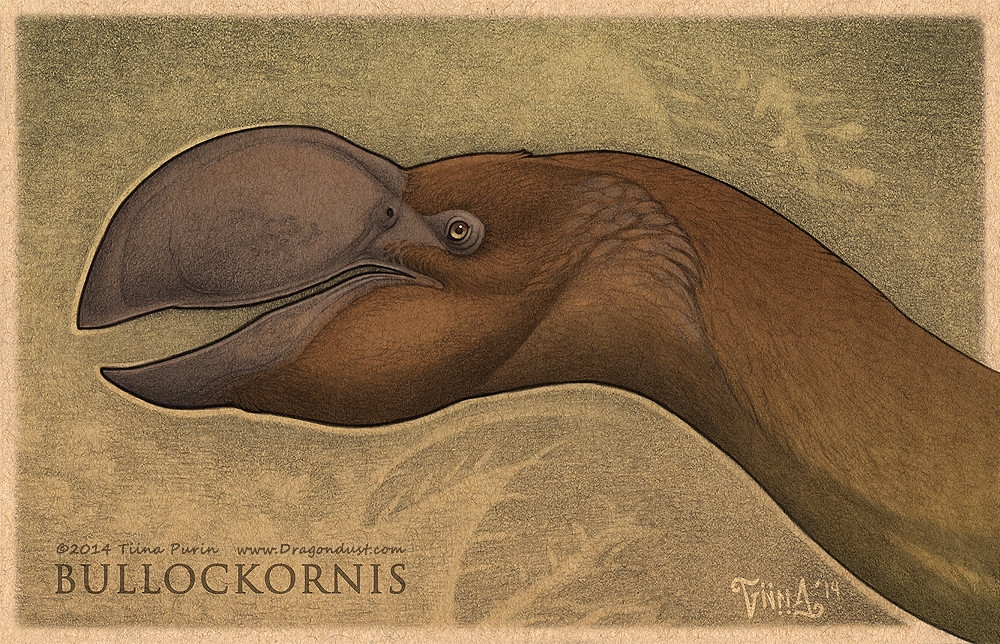 "Demon Duck of Doom" for Prehistoric Times Magazine. Named after the Bullock Creek where it was discovered, Bullockornis is thought to be more closely related to ducks and geese than any other bird.

Read more about them in issue #109 of PT magazine.