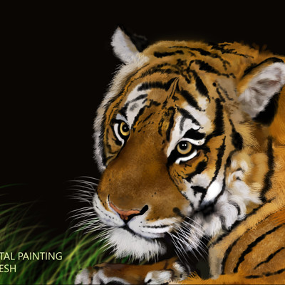 Aneesh chandra digital painting tiger