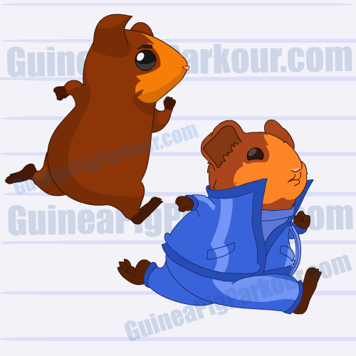 Guinea pig discount running around