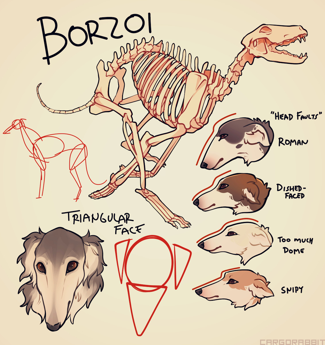 ArtStation Borzoi Study